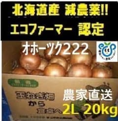 北海道産玉ねぎ20kg2Lサイズ ※222のサムネイル
