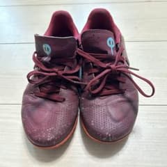 NIKE ティエンポ　トレーニングシューズ21.5cmのサムネイル