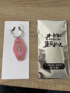 オードリー　オールナイトニッポン　東京ドーム　キーホルダー　ギャラクシー賞②のサムネイル