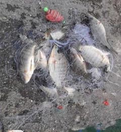釣り網 2個セット！のサムネイル