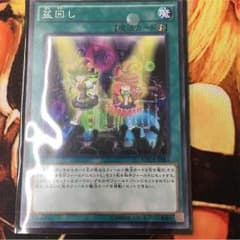 盆回しのサムネイル