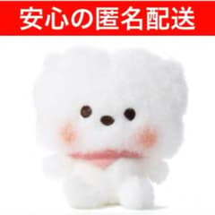 BT21 베이비 버디 빈 인형(MY LITTLE BUDDY) RJ