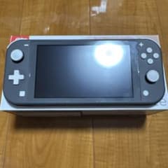 ニンテンドースイッチライト本体　グレー　専用ケース付きのサムネイル