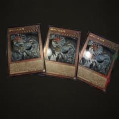 フィドラウリスハルモニア　レリーフ２枚 遊戯王 調和ノ天救竜 フィドラウリスハルモニア レリーフ 3枚 - メルカリ