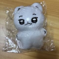 &team ユウマ yuma 10cm マスター ぬいぐるみ 윰달이 &team ユウマ yuma 10cm マスター ぬいぐるみ 윰달이