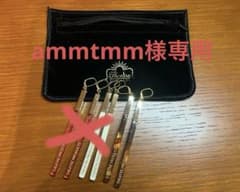 【ammtmm様専用】シアタープロダクツ　プラスチックスティックピアス　ベッコウのサムネイル