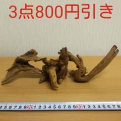 マングローブ系小流木3本セット⑧　　　アクアリウム　　同時購入300円引き‼️のサムネイル