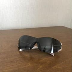 サングラススワンズのサムネイル
