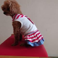 CRUSH DOG 犬服 セーラーカラー ワンピースのサムネイル