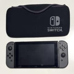 Nintendo Switch 本体 グレー Joy-Con ケース付きのサムネイル
