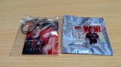 北海道コンサドーレ札幌 現ザスパ群馬 #45中島大嘉選手のサムネイル
