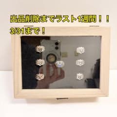 家庭教師ヒットマンREBORN! ボンゴレリング全7種 専用ケース