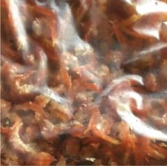 ウッチャンさん専用のサムネイル