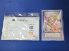 す*ー様 【ARS鑑定10+】ベルのまごころ SAR ポケモンカードのサムネイル