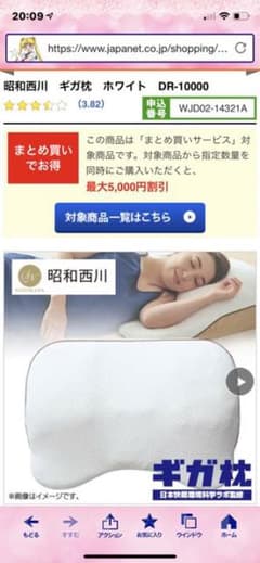 昭和西川 ギガ枕  売れなければ削除します。すみませんのサムネイル