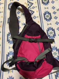 なり様専用　Patagonia ボディバッグのサムネイル