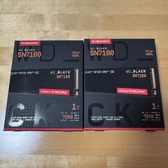 2個 SanDisk SN7100 NVMe SSD 1TB PCIe Gen4のサムネイル