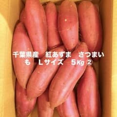 千葉県産 紅あずま さつまいも Lサイズ 5Kg ② - メルカリ