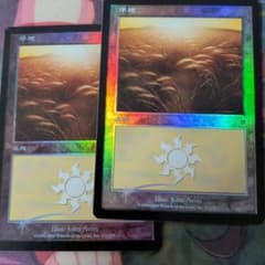 平地331 foil 2枚セット インベイジョン マジック mtg - メルカリ
