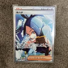 キハダ SARのサムネイル