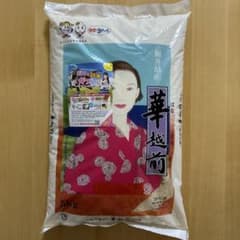 新米　お米 5キロ　福井県産　華越前5kg 米　普通精米のサムネイル