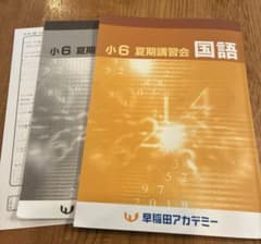 早稲田アカデミー 2025年 小6夏期講習 国語 - メルカリ