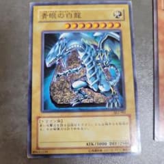 遊戯王カード 青眼の白龍 エビルナイト・ドラゴン 他 3枚セット - メルカリ