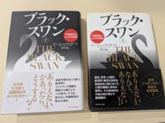 【価格下げました❗️】ブラック・スワン 上下巻セット ナシーム・ニコラス・タレブのサムネイル