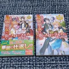 追放された最強聖女は、街でスローライフを送りたい!のサムネイル