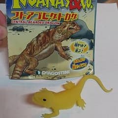 デアゴスティーニ　イグアナのサムネイル