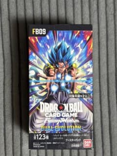 【新品未開封】テープ付き デュアルエボリューション 1BOX
