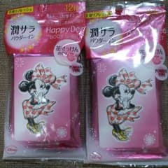 ボディシート 2セットのサムネイル