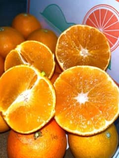 今だけ特別！愛媛県産！愛果28号 （紅まどんな）家庭用 3キロのサムネイル
