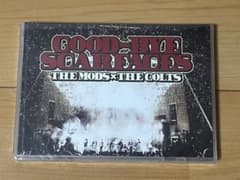 新品★THE MODS×THE COLTS GOOD-BYE SCARFACESのサムネイル
