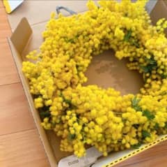 増し増し✳︎ミモザリースのサムネイル