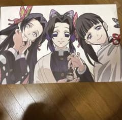 胡蝶しのぶ 胡蝶カナエ 胡蝶カナヲポスターサイズ40×50cm - メルカリ