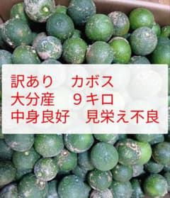 訳あり大分県産カボス9キロ 中身良好 - 3