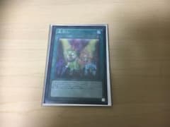 盆回し 一枚のサムネイル