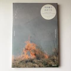 川内倫子 あめつち: RINKO KAWAUCHI: AMETSUCHI 未開封】川内倫子 あめつち Rinko Kawauchi - メルカリ