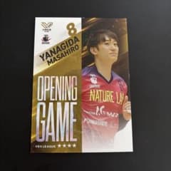東京グレートベアーズ グレベア Vコレリアルカード #8 柳田将洋選手