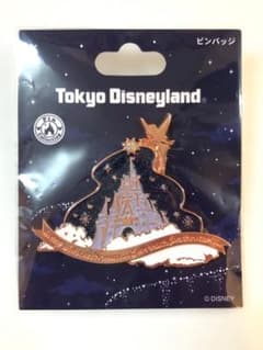 東京ディズニーランド リーチフォーザスターズ ピンバッジのサムネイル