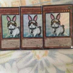 レスキューラビットのサムネイル