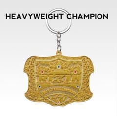 챔피언 벨트 메탈 매력 RIZIN 이치 반 쿠지