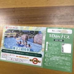 【匿名配送】東京 サマーランド 株主優待券 1DAYパスのサムネイル