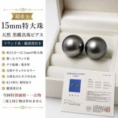 【超希少15mm特大珠】天然黒蝶真珠 K14WG ピアス ラウンド系 鑑別書付のサムネイル