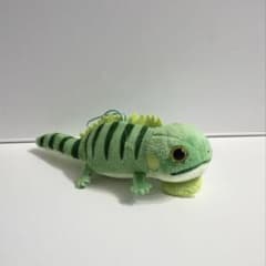 レオパのきいちゃん なかよしのサムネイル
