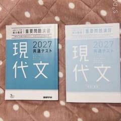 ベネッセ 2027年度 重要問題演習 現代文のサムネイル