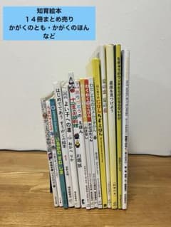 知育絵本 福音館書店 かがくのとも かがくの本 すうがくの絵本 ちず