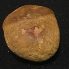 鈴石 なおたろう様専用のサムネイル