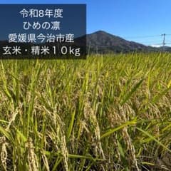 令和8年度新米】愛媛県今治市産 ひめの凛 玄米・精米10kg - メルカリ